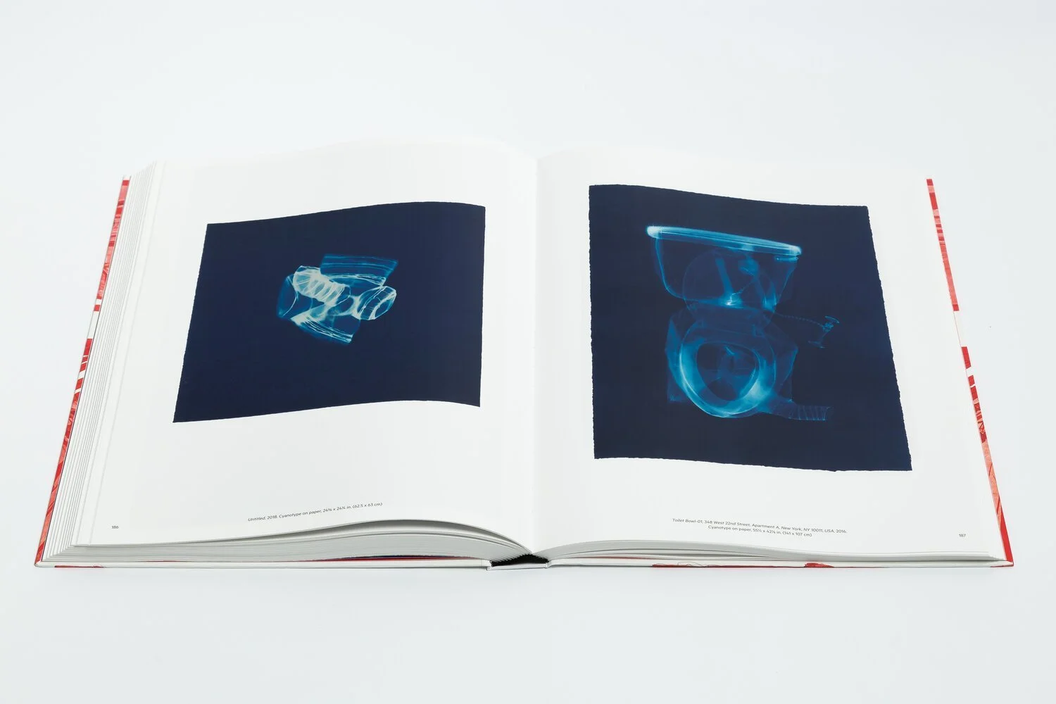 Review of 'Do Ho Suh: Works on Paper' — Art & Market